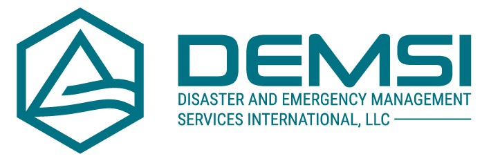 DEMSI, LLC